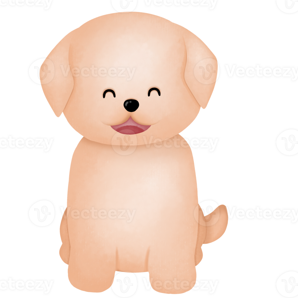 Dog in Summer Graphic png