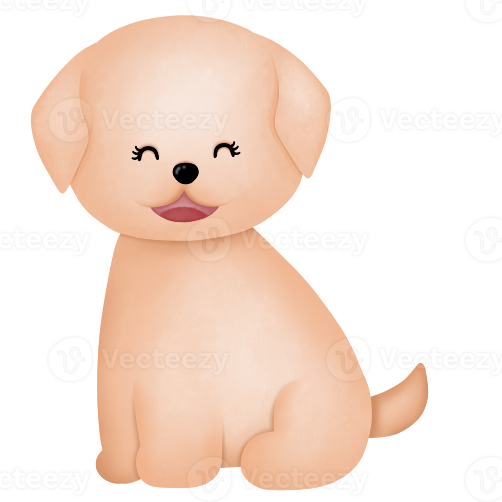 Dog in Summer Graphic png