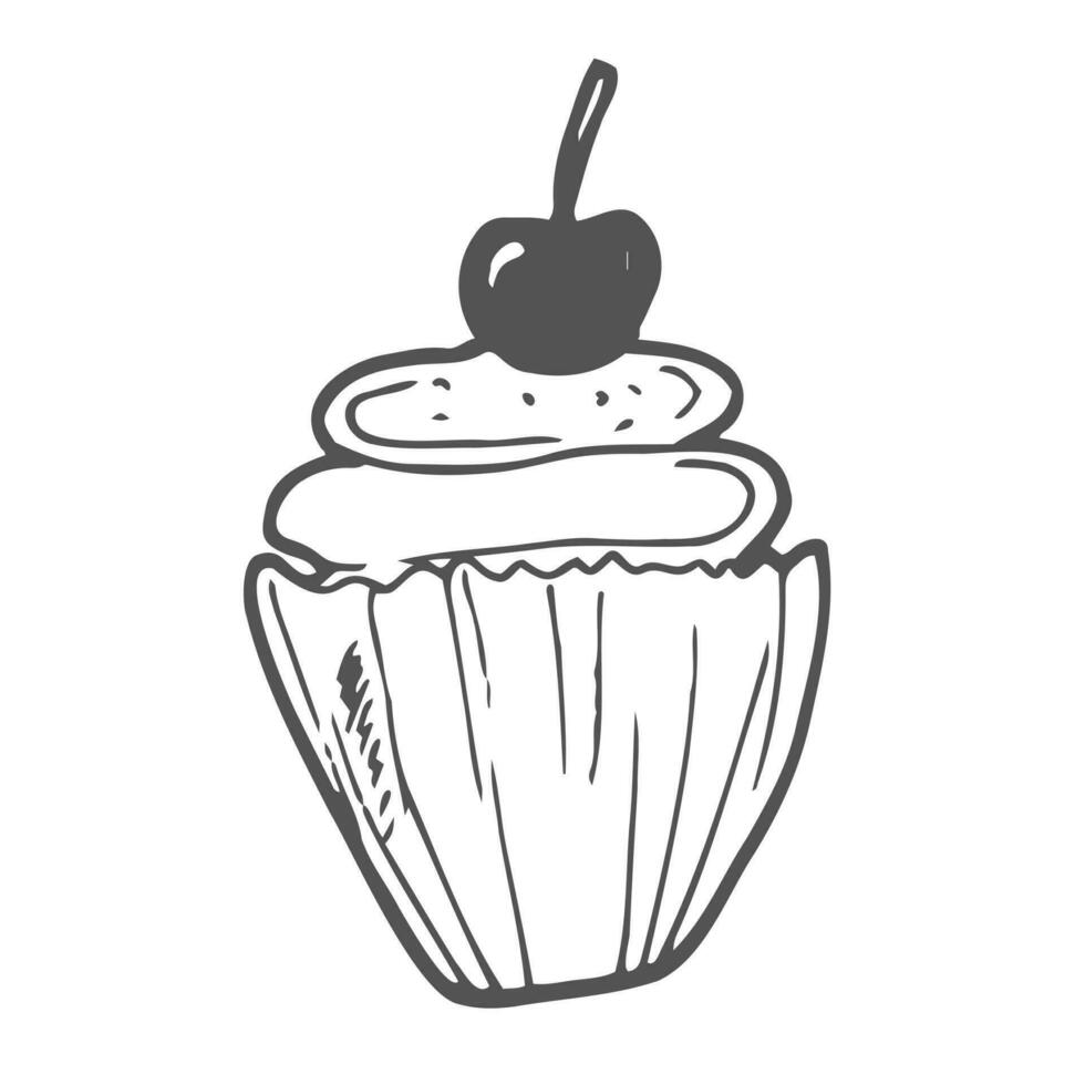 Cupcake. Muffin. Single vector doodle illustrations. Hand drawing of sweet cake