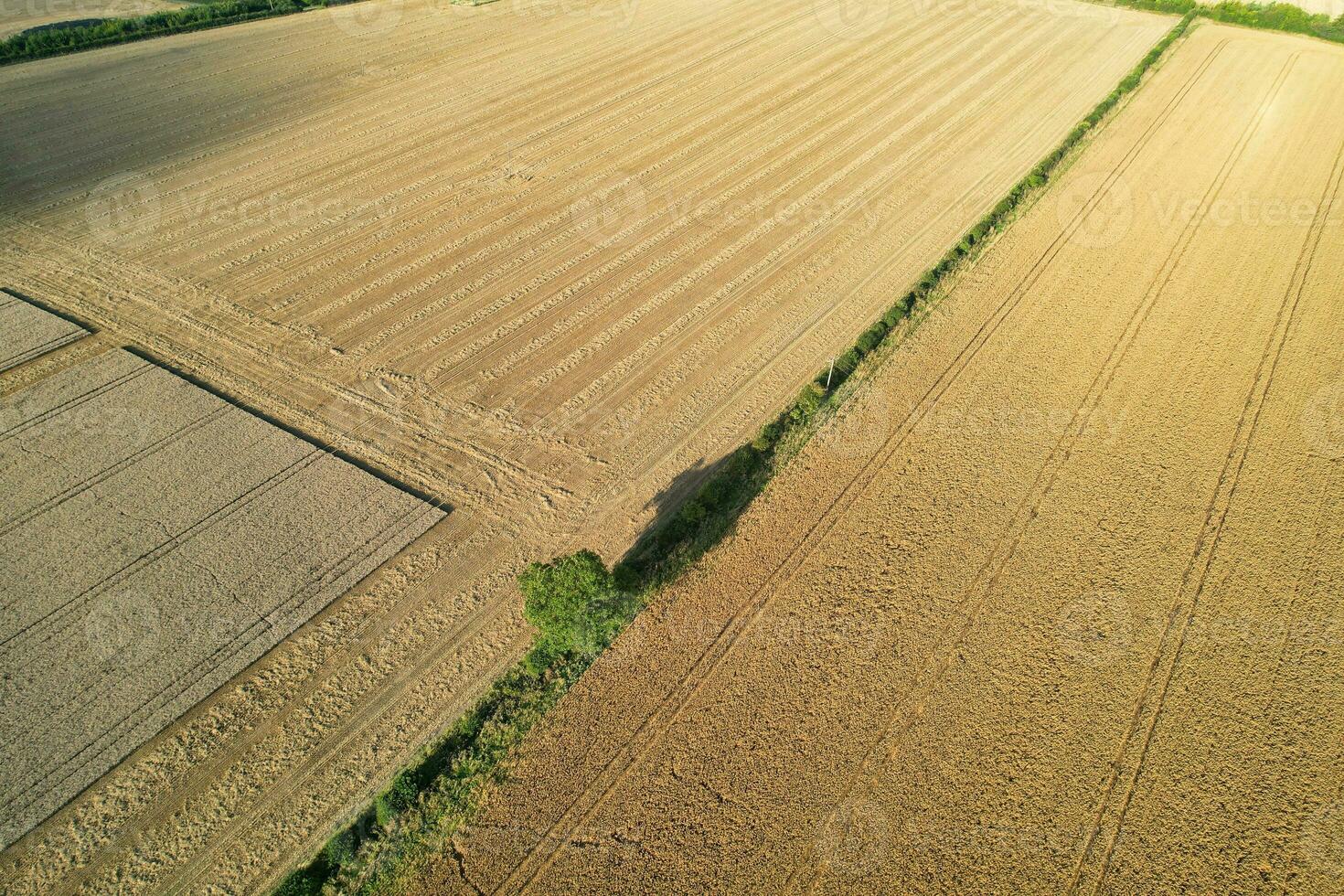 High Angle Panoramic Landscape View of British Agricultural Farms at Countryside Landscape of Sharpenhoe Clappers, Luton City of England UK. Footage Captured on August 19th, 2023 photo