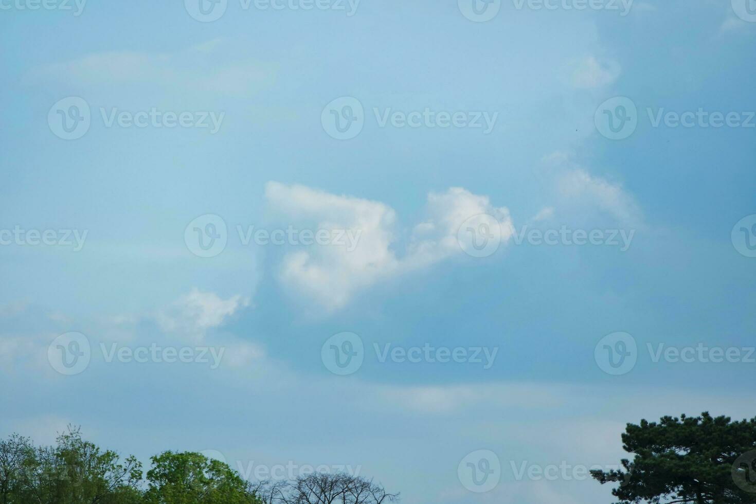 Gorgeous Low Angle View of Local Public Park of Luton England UK photo