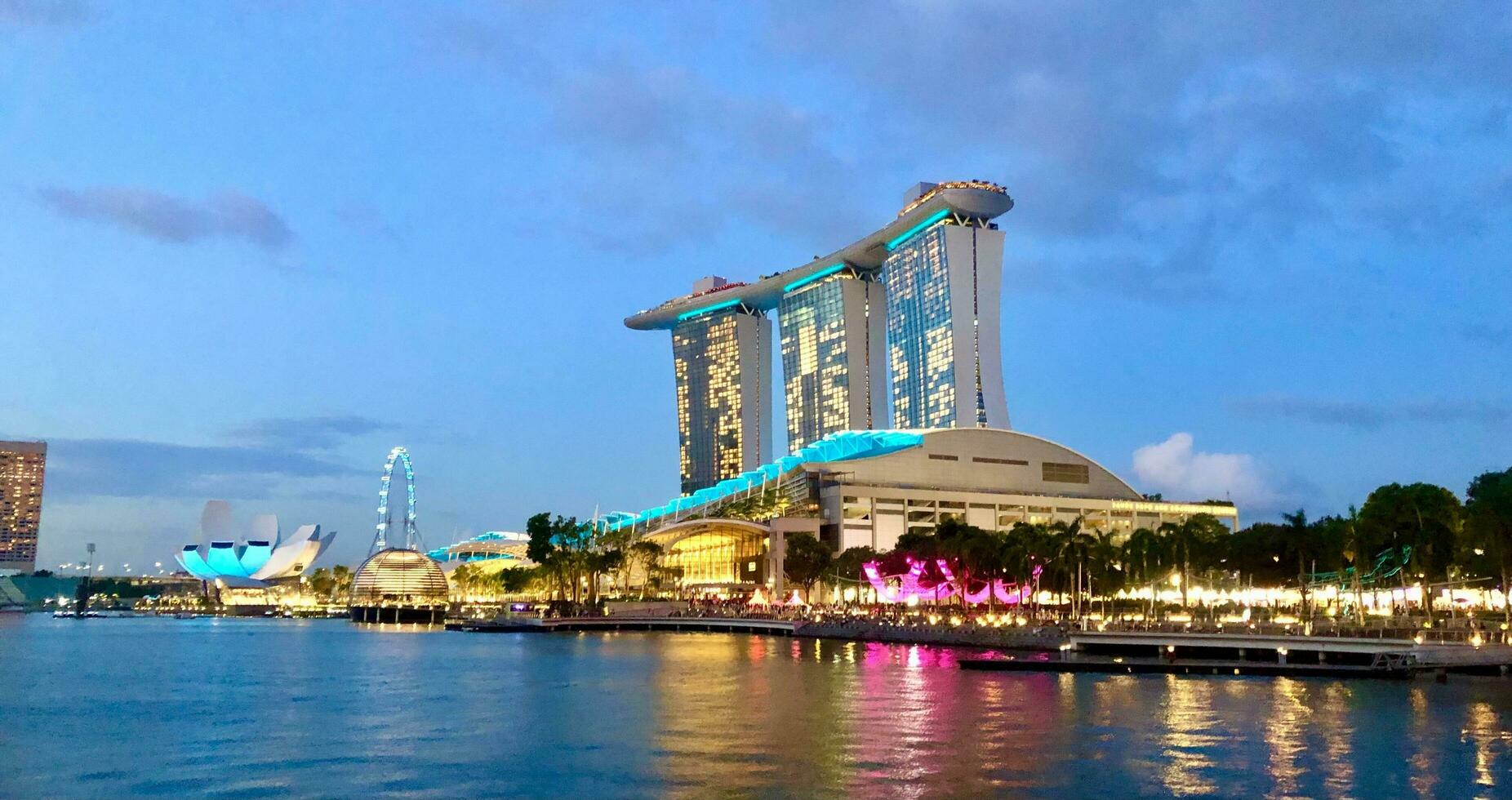 Singapore, August 31 2023 Garden by the bay and view of skyscrapers see Marina Bay View of business district photo