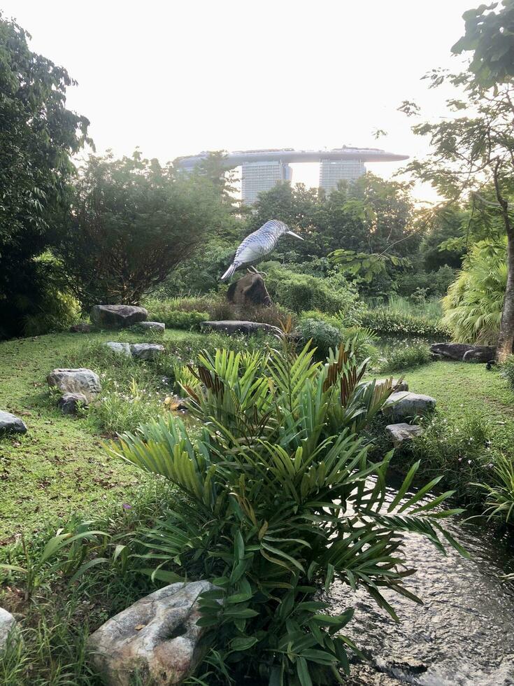 Singapur, agosto 31 2023 jardín por el bahía y ver de rascacielos ver centro de deportes acuáticos bahía ver de negocio distrito foto