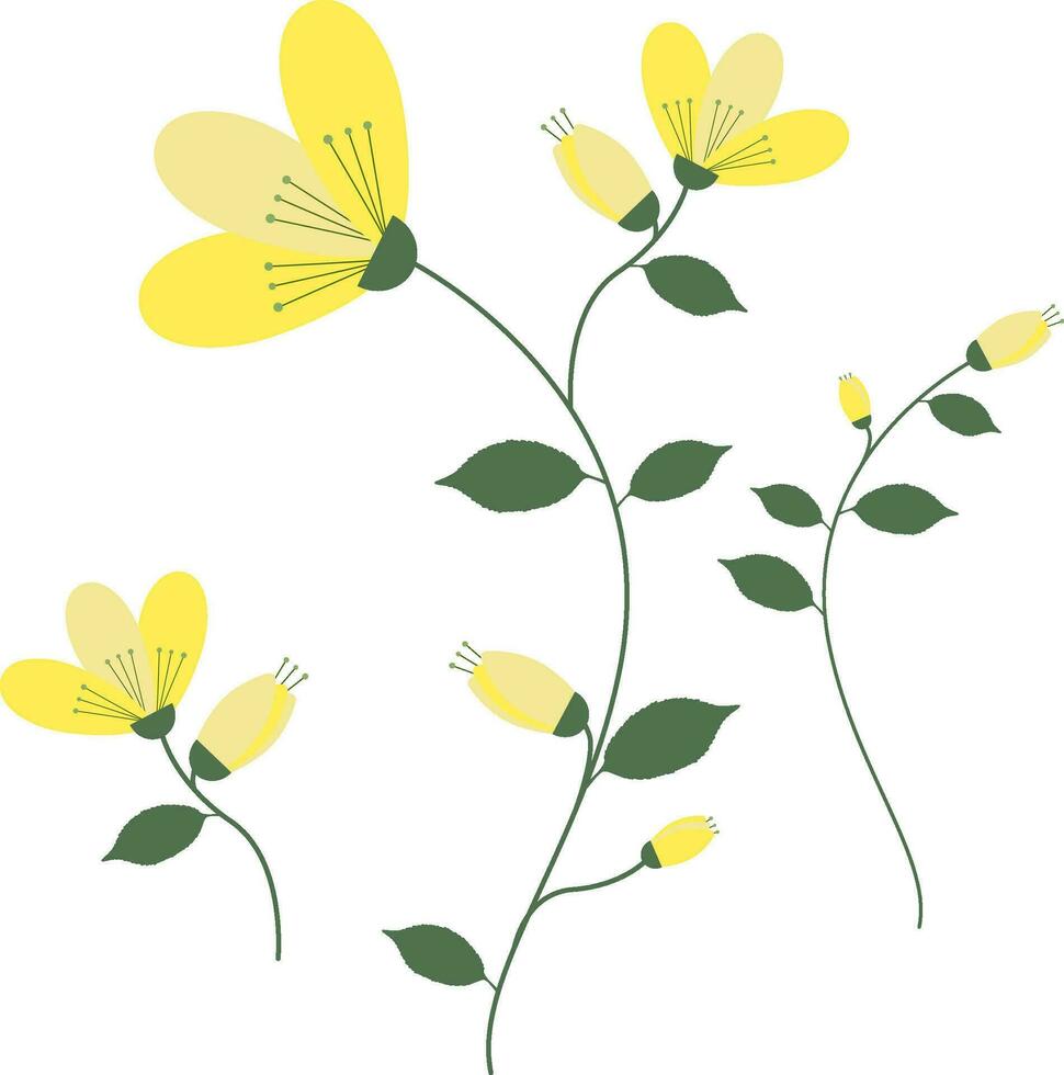 Yellow flowers with green stem and leaves, set vector
