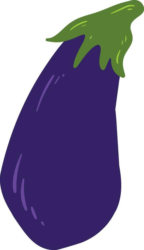 Organic Eggplant Element vector
