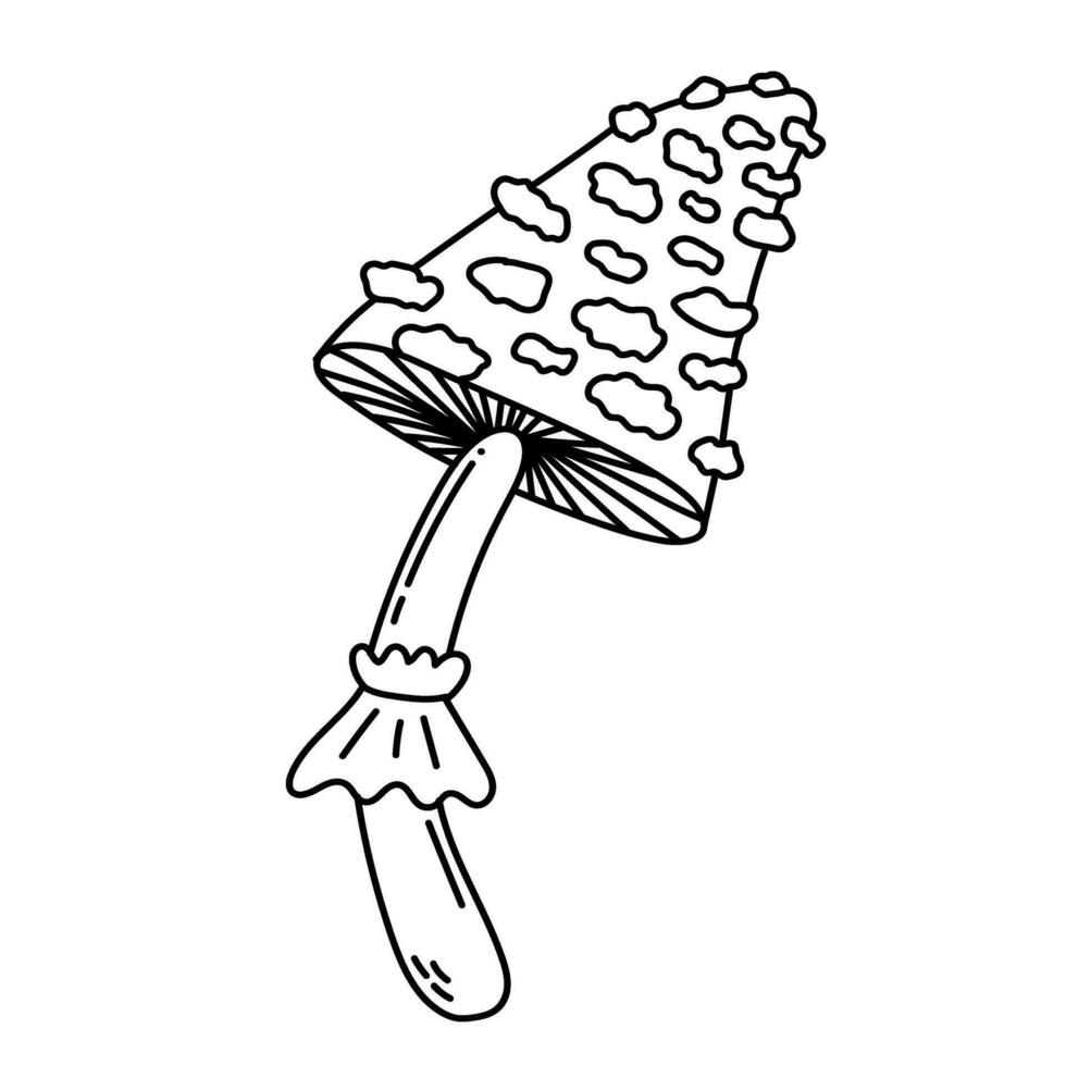 Simple vector doodle. Sketch drawing of forest mushroom. Easy to change color.