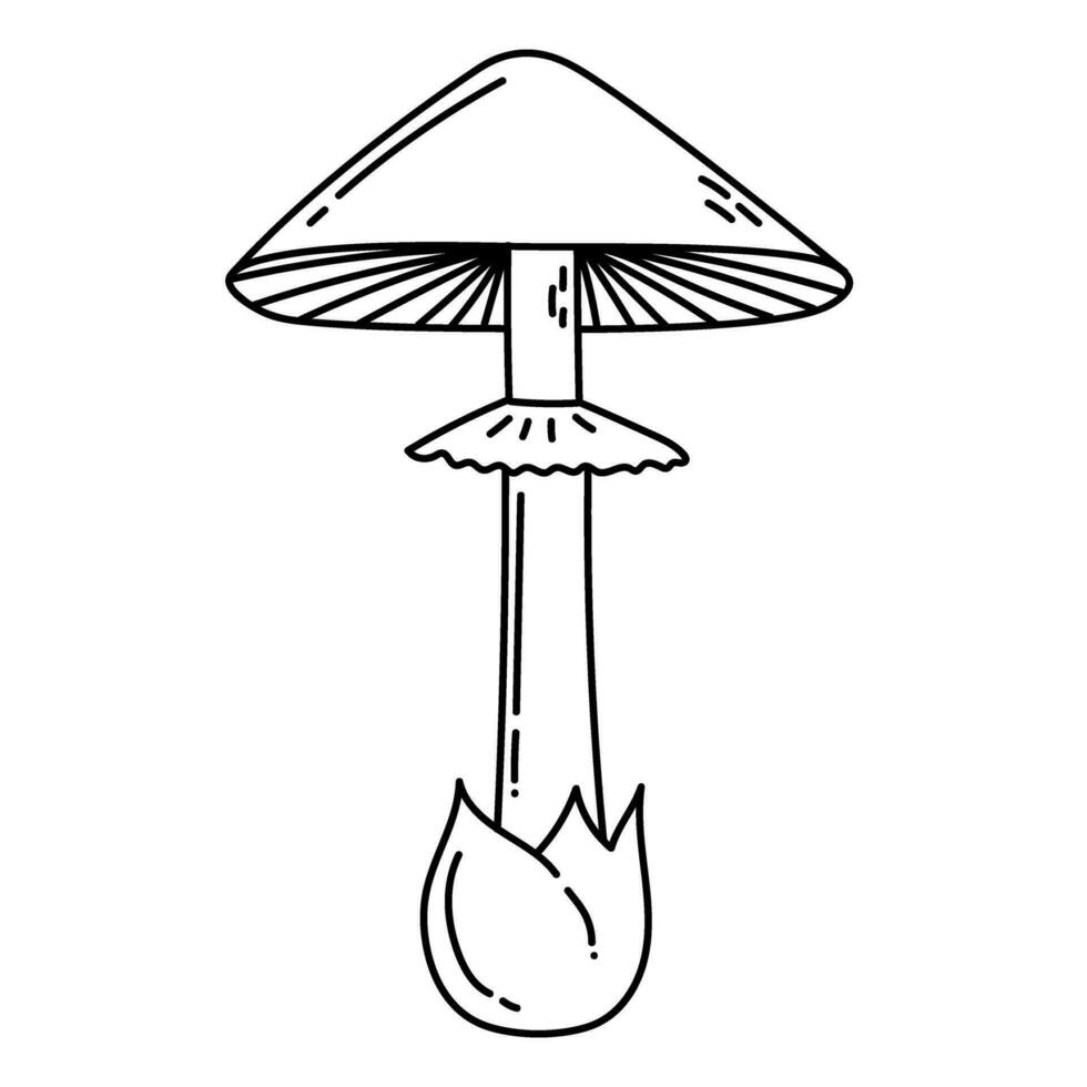 Simple vector doodle. Sketch drawing of forest mushroom. Easy to change color.