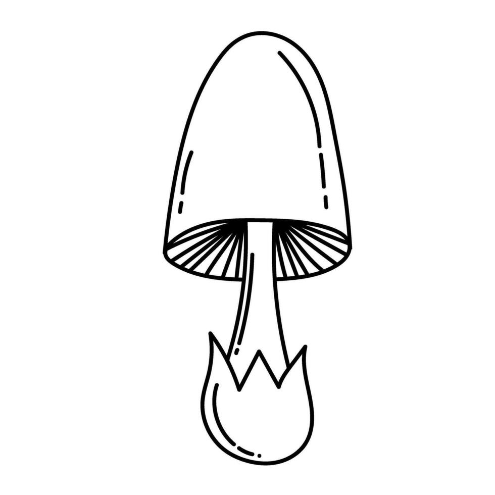 Simple vector doodle. Sketch drawing of forest mushroom. Easy to change color.