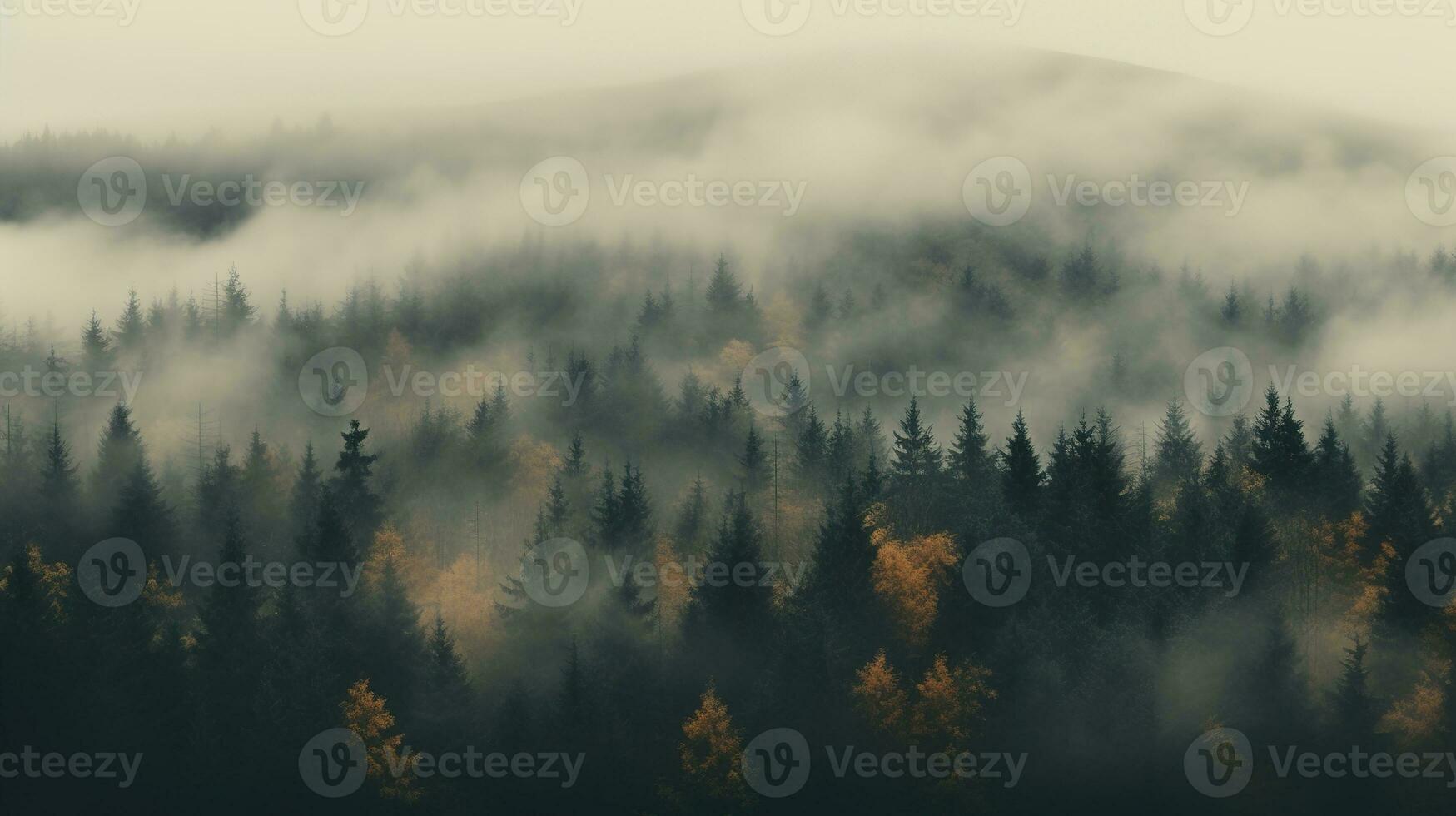 Generative AI, Misty autumn fir forest beautiful landscape in hipster vintage retro style, foggy mountains and trees. photo