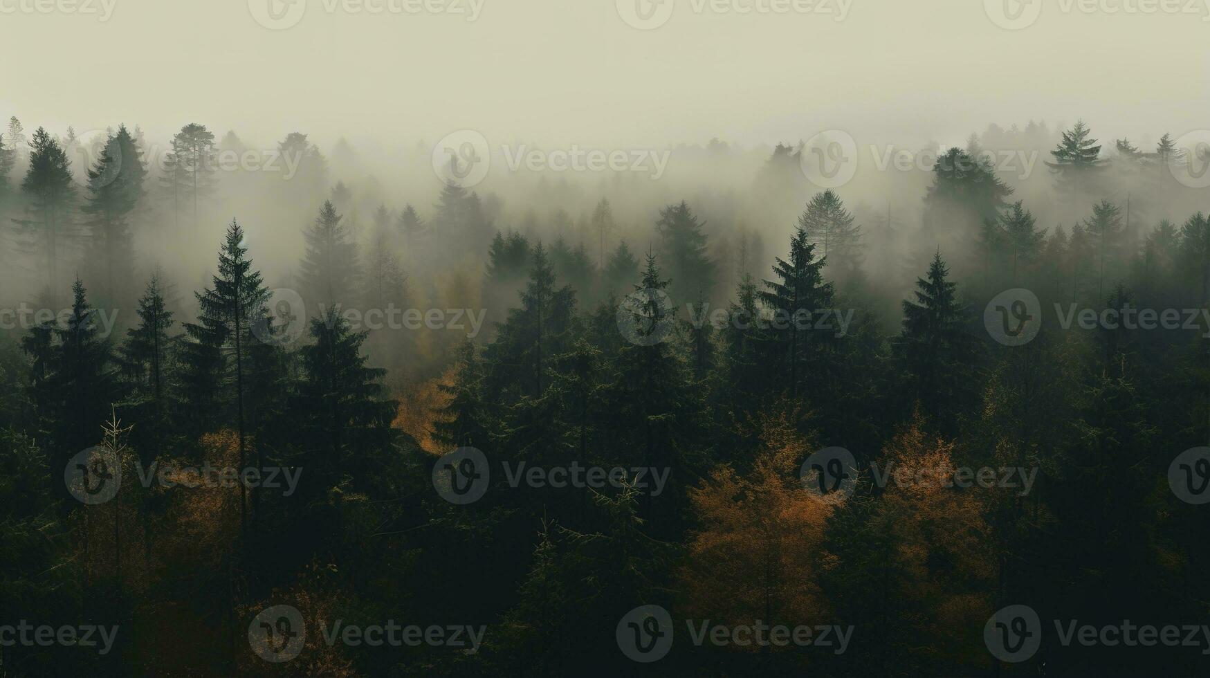 Generative AI, Misty autumn fir forest beautiful landscape in hipster vintage retro style, foggy mountains and trees. photo