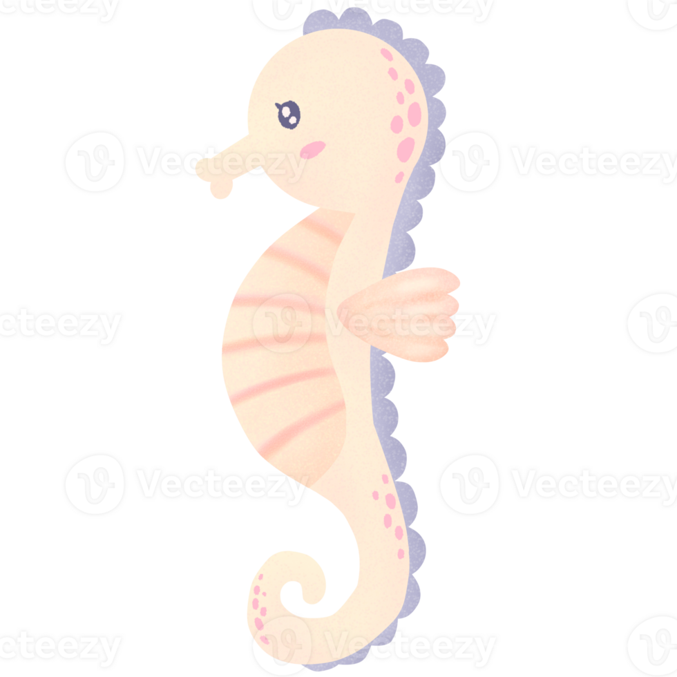 cute sea horse png