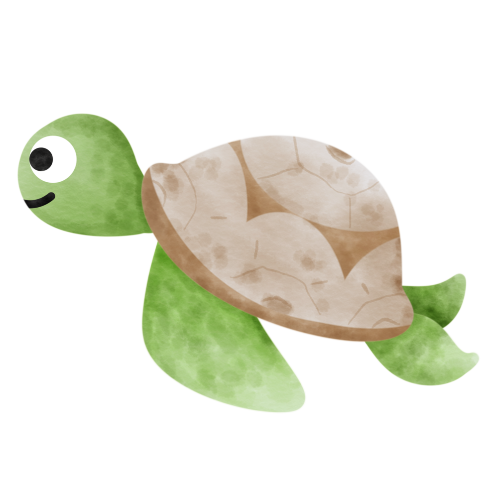 Turtle cute cartoon character watercolor painting. png