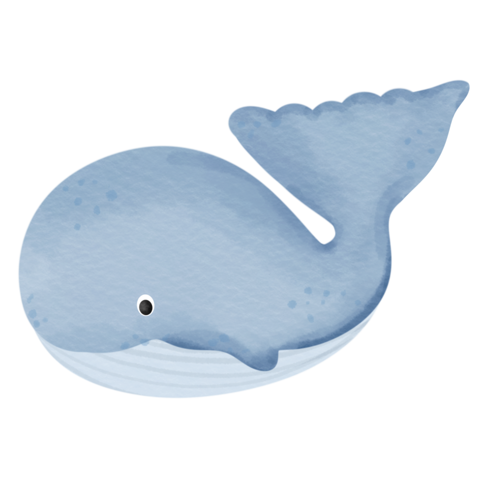 blu balena isolato su bianca. png