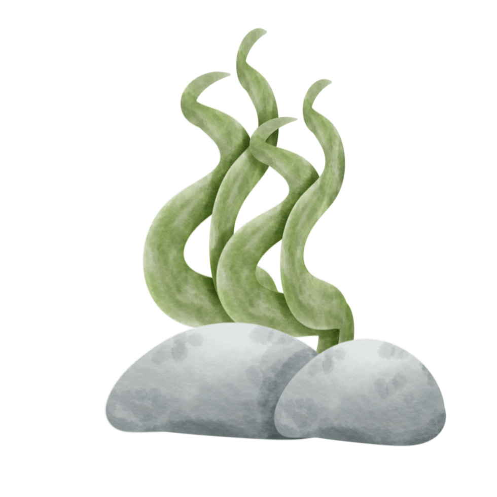 Seaweed cute cartoon. png