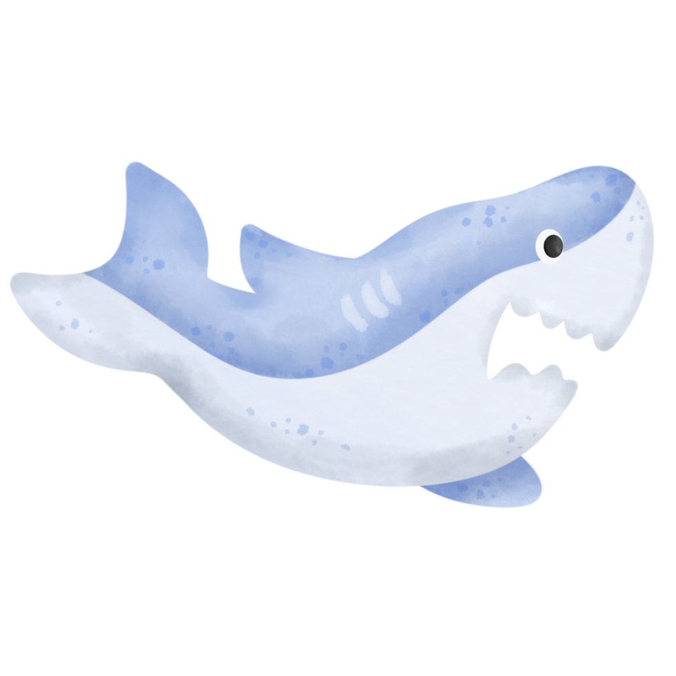 Baby shark isolated on white. 28078403 PNG