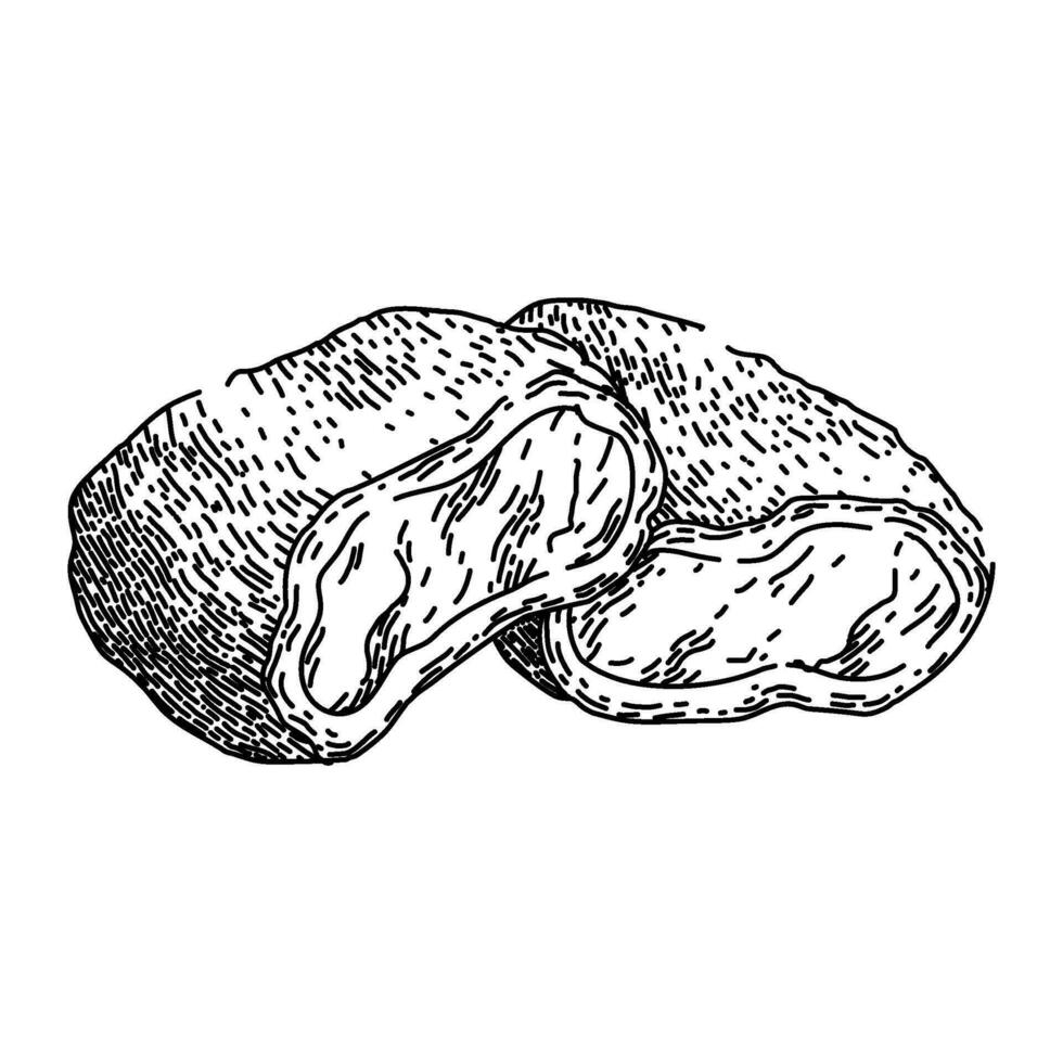 food chicken nuggets sketch hand drawn vector