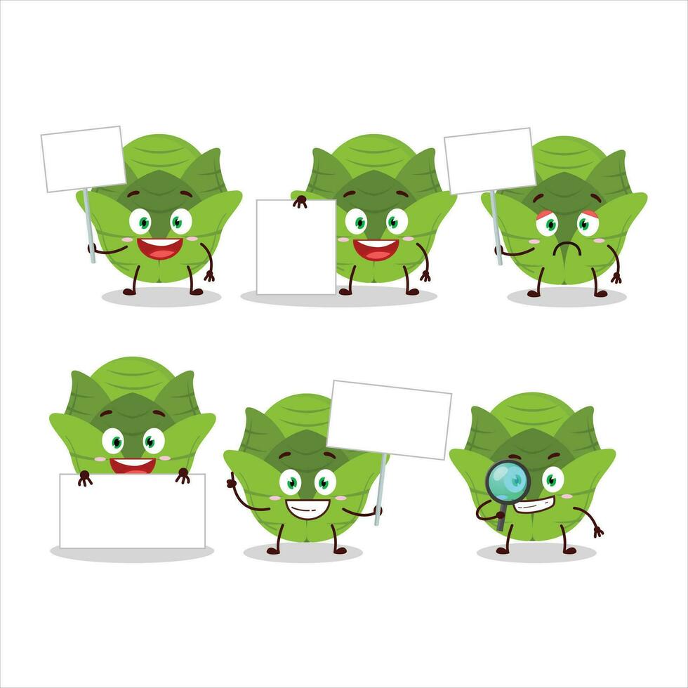 Savoy cabbage cartoon character bring information board vector