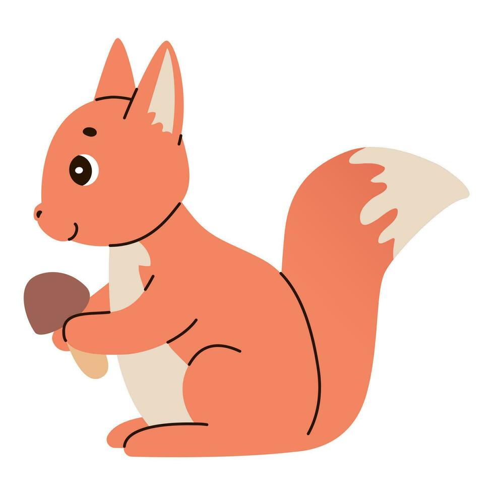 Isolated cute funny squirrel in flat vector style on white background. Woodland life. Forest animal.