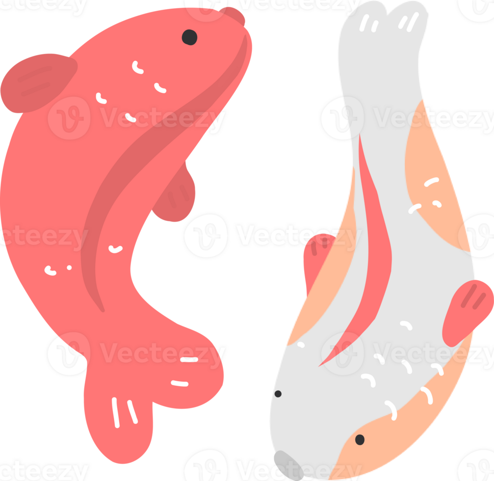 koi couple des poissons illustration png