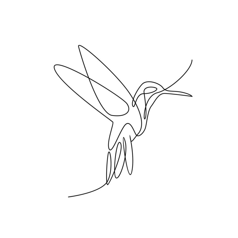 hummingbird line illustration vector