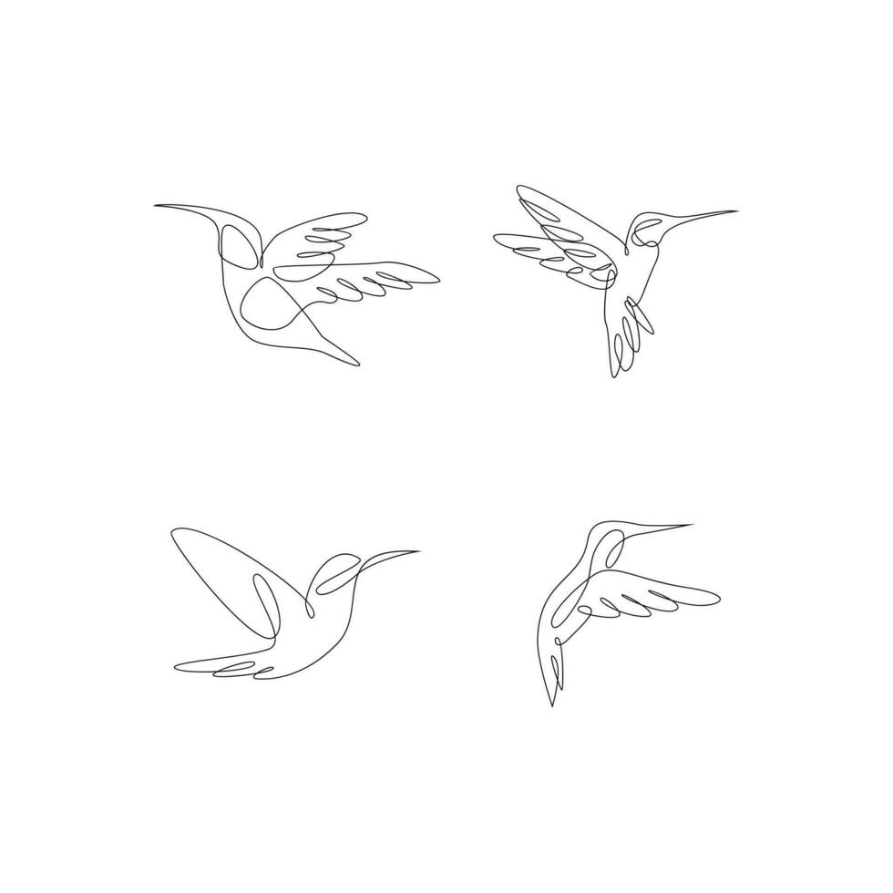 hummingbird line illustration vector