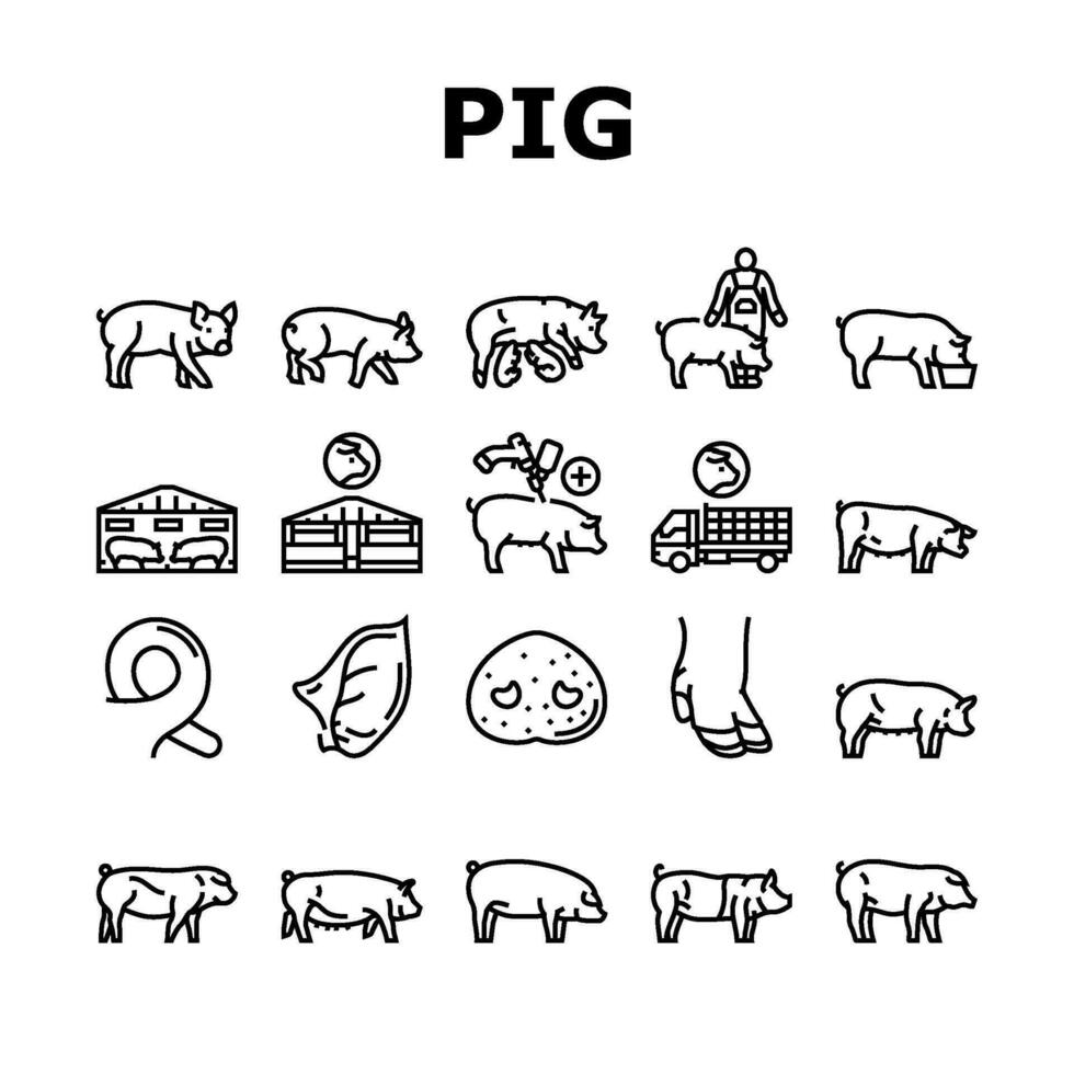 pork pig farm animal piglet hog icons set vector