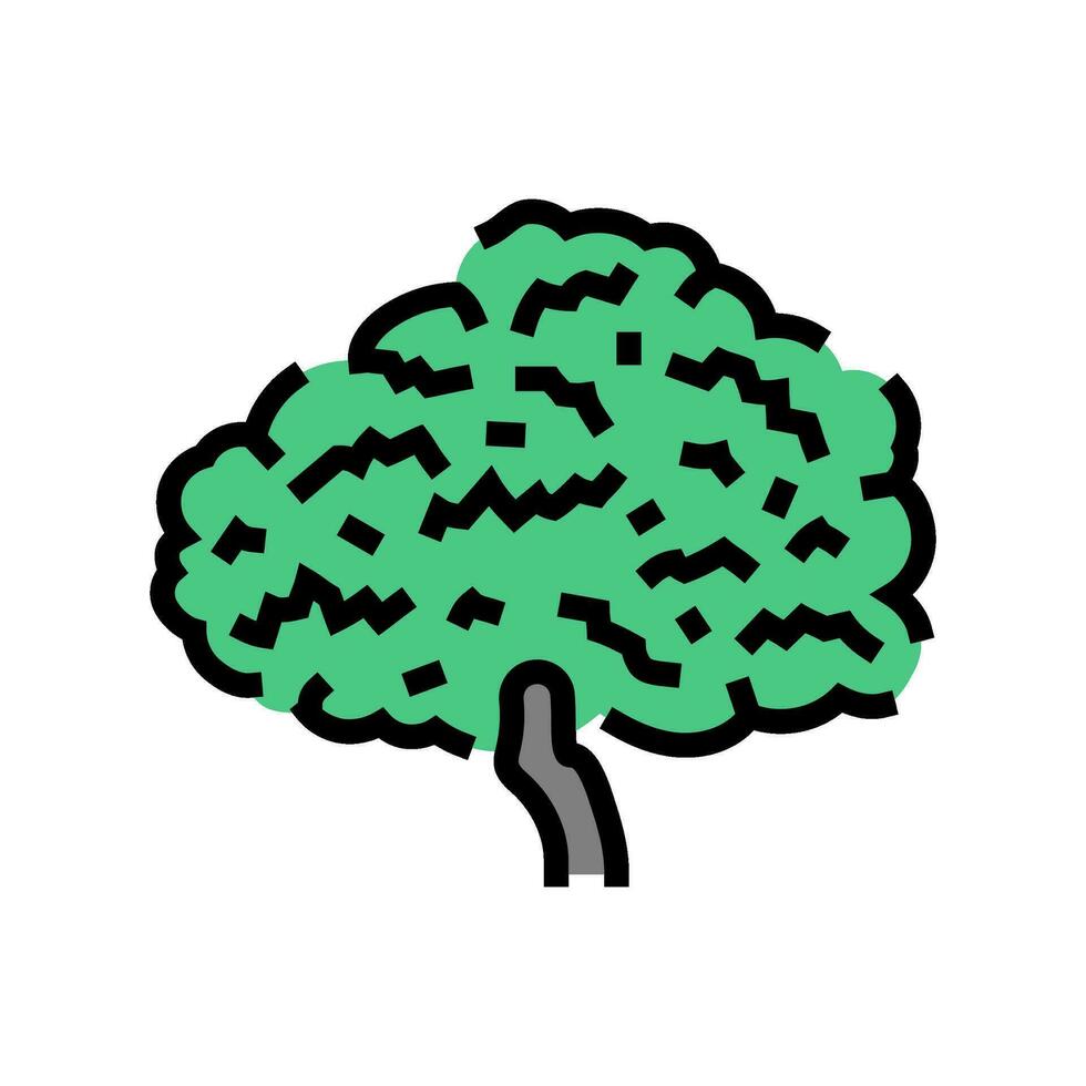 fig tree jungle amazon color icon vector illustration