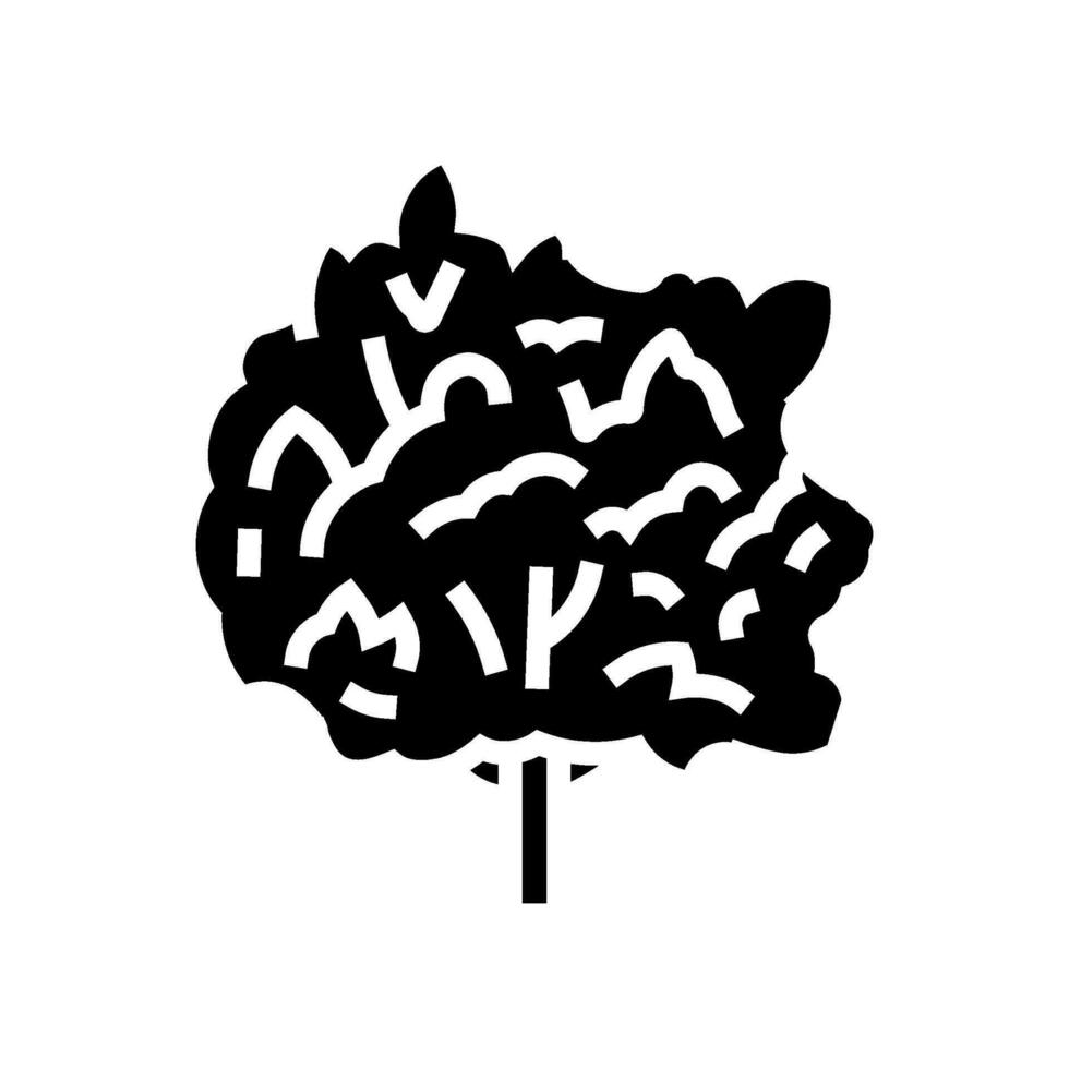 macadamia tree jungle amazon glyph icon vector illustration