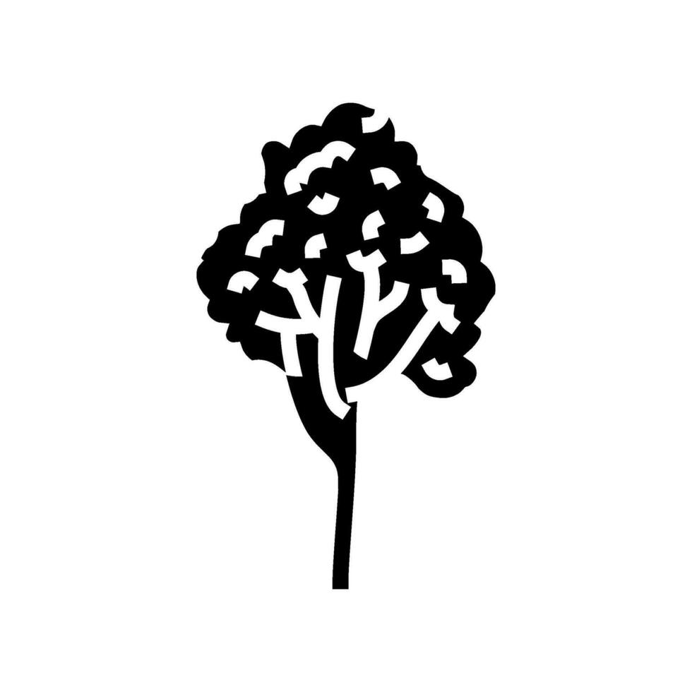 rubber tree jungle amazon glyph icon vector illustration 28085811