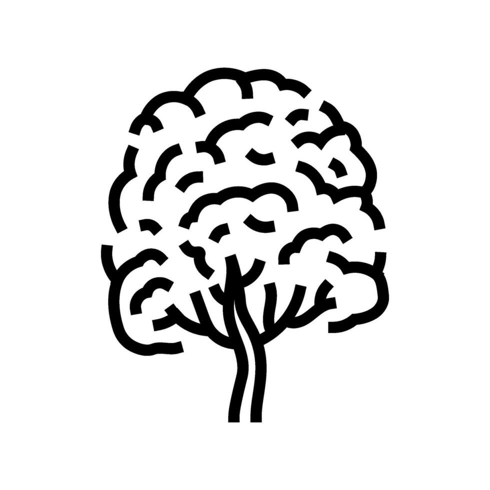 neem tree jungle amazon line icon vector illustration