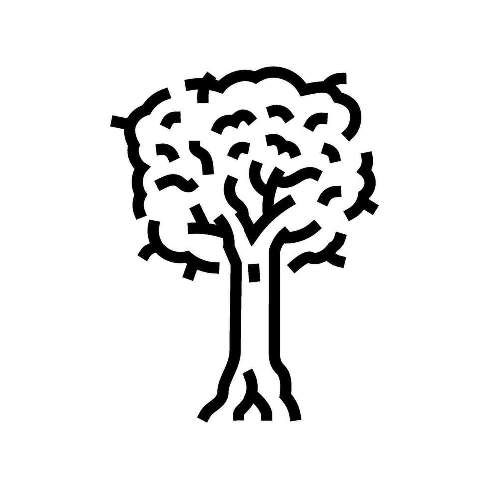 kauri jungle amazon line icon vector illustration