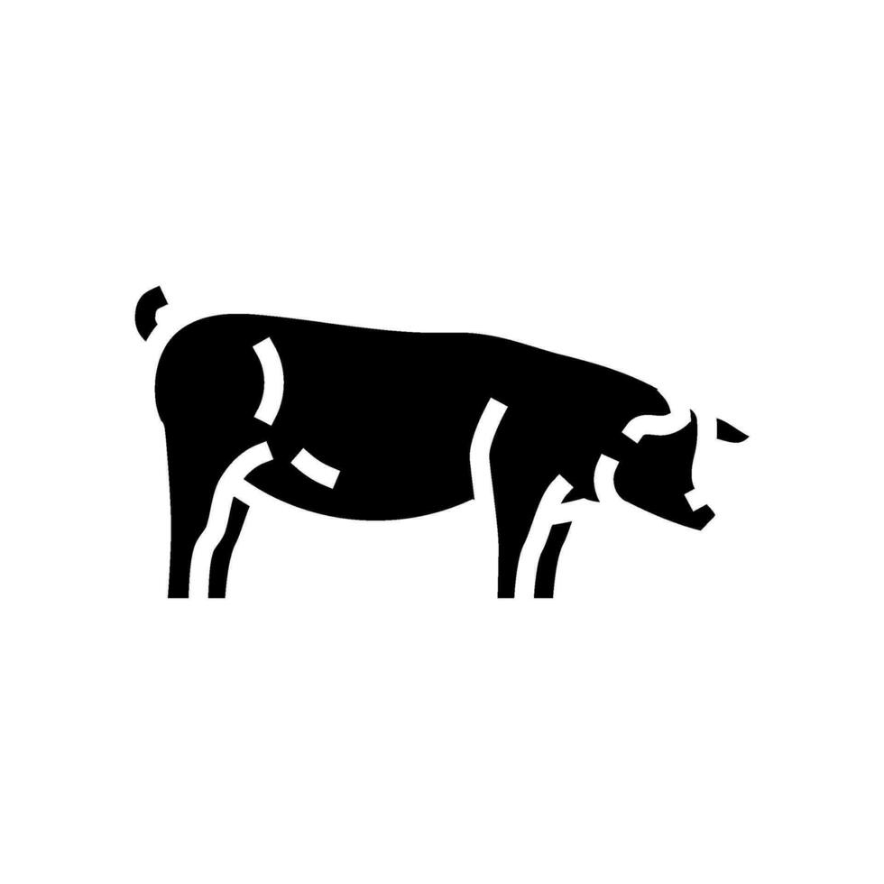 Berkshire cerdo raza glifo icono vector ilustración