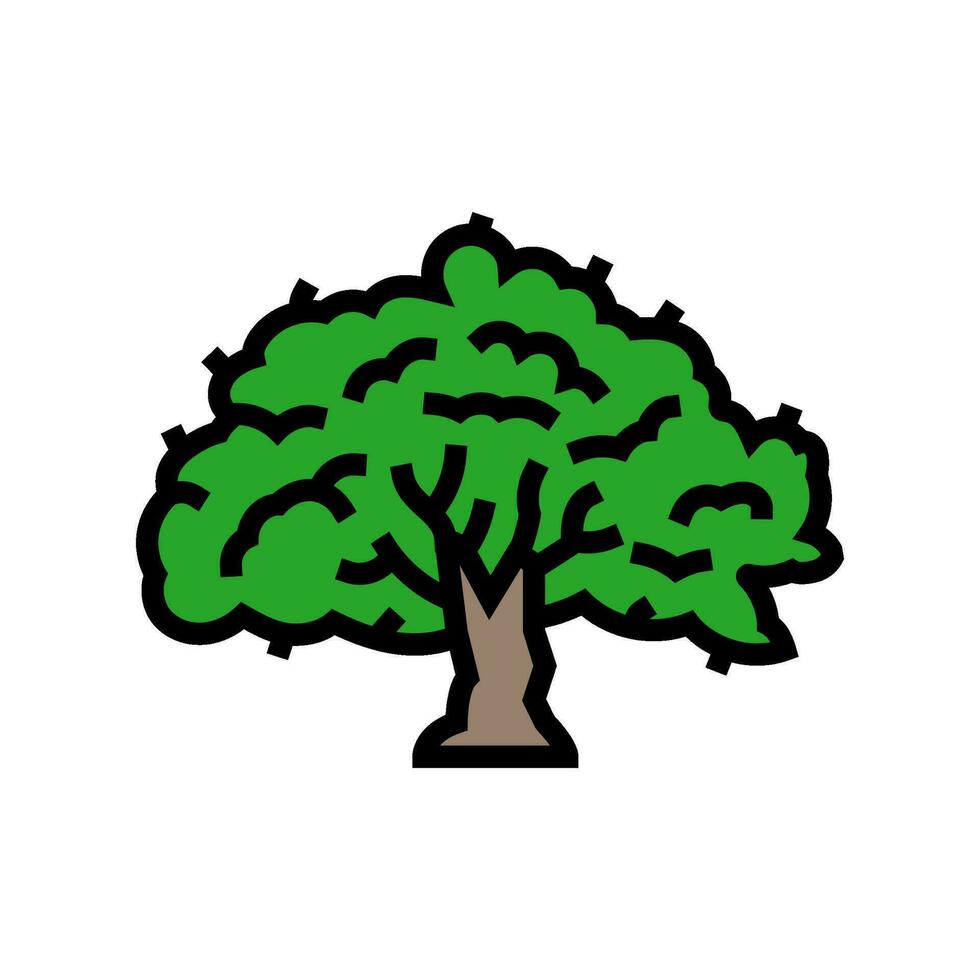 bodhi árbol budismo color icono vector ilustración