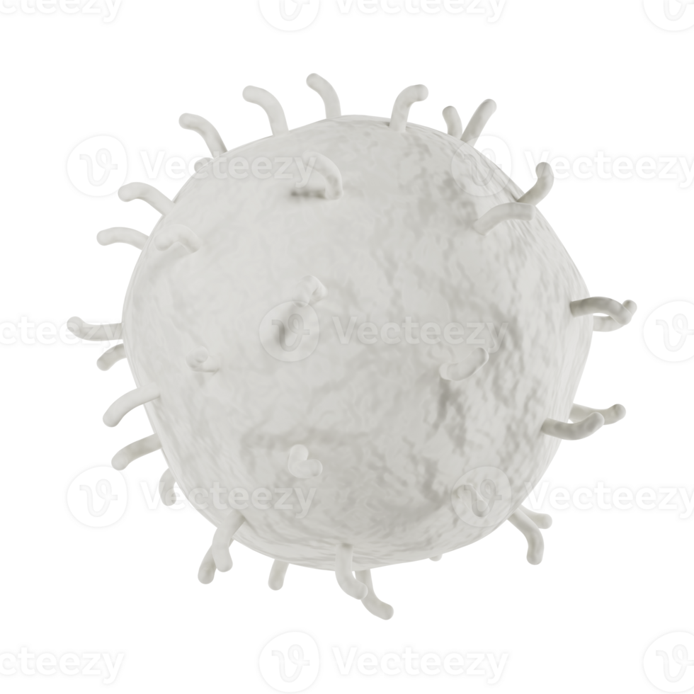 White blood cell 3d realistic icon analysis. Leukocytes medical illustration isolated transparent png