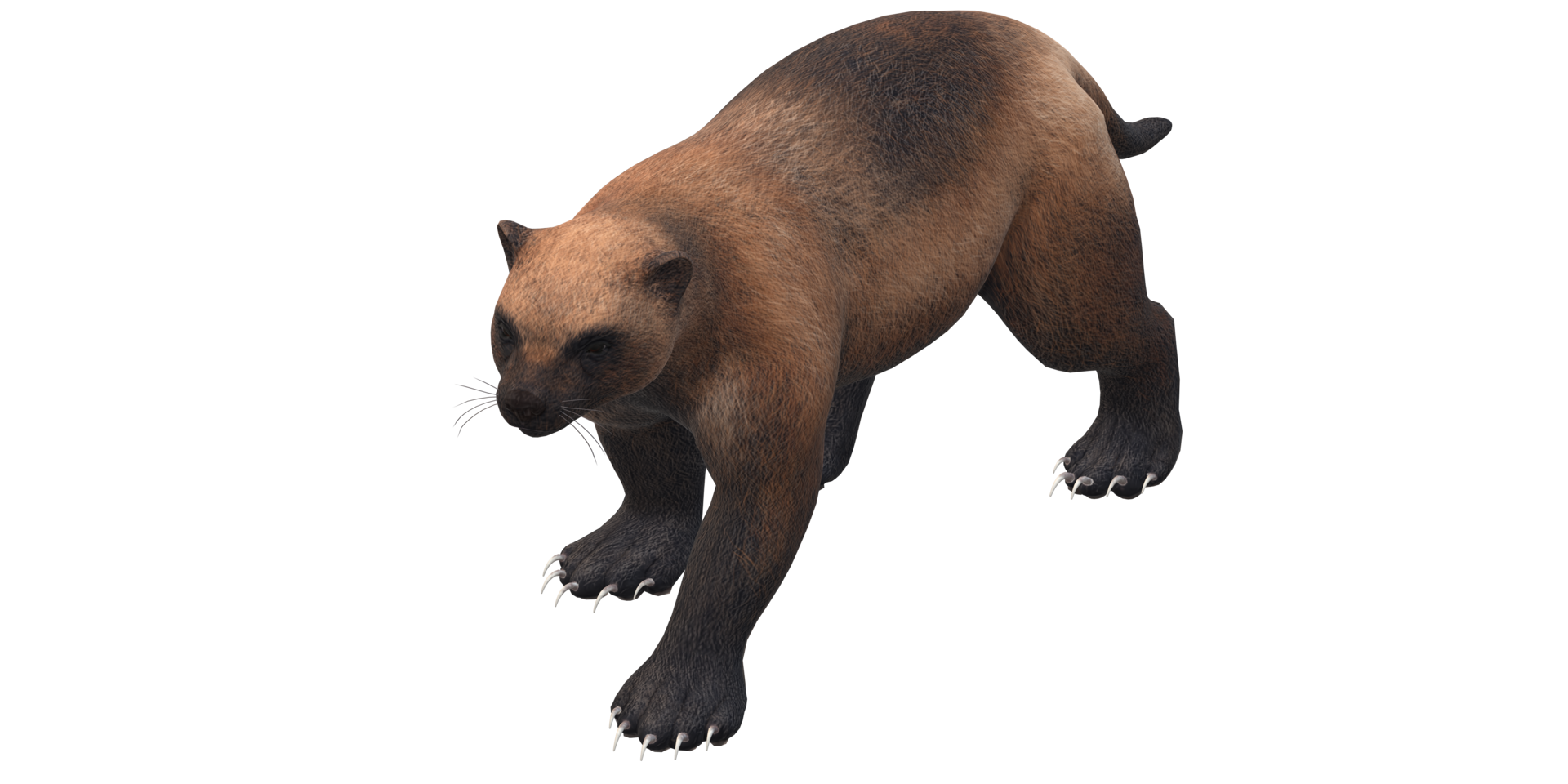 Wolverine isolated on a Transparent Background png