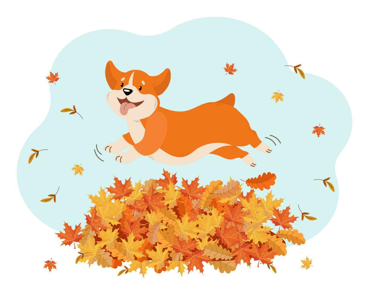 lindo perro corgi divertido en un salto sobre un montón de hojas de otoño. ilustración infantil, impresión, vector