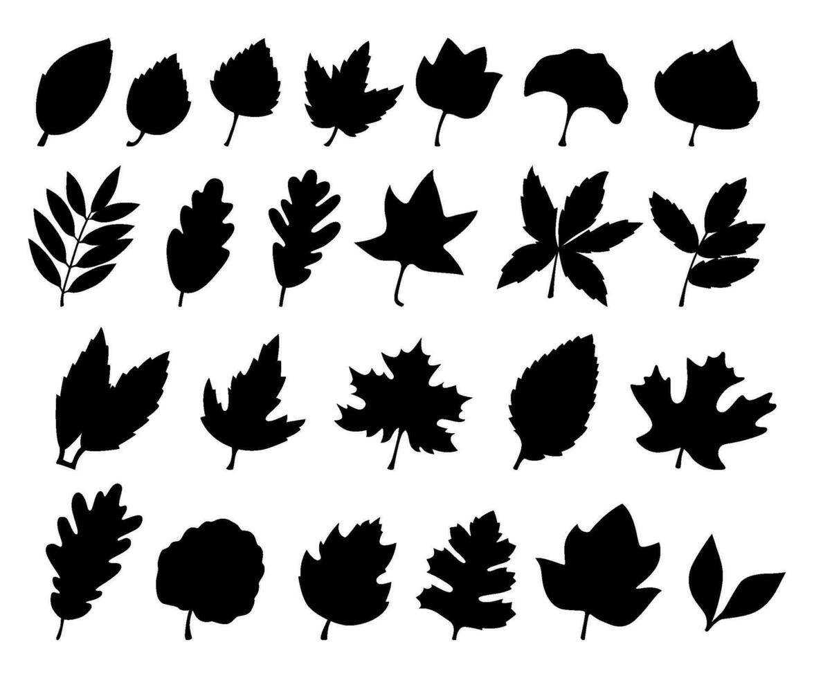Black leaves silhouettes on a white background. vector