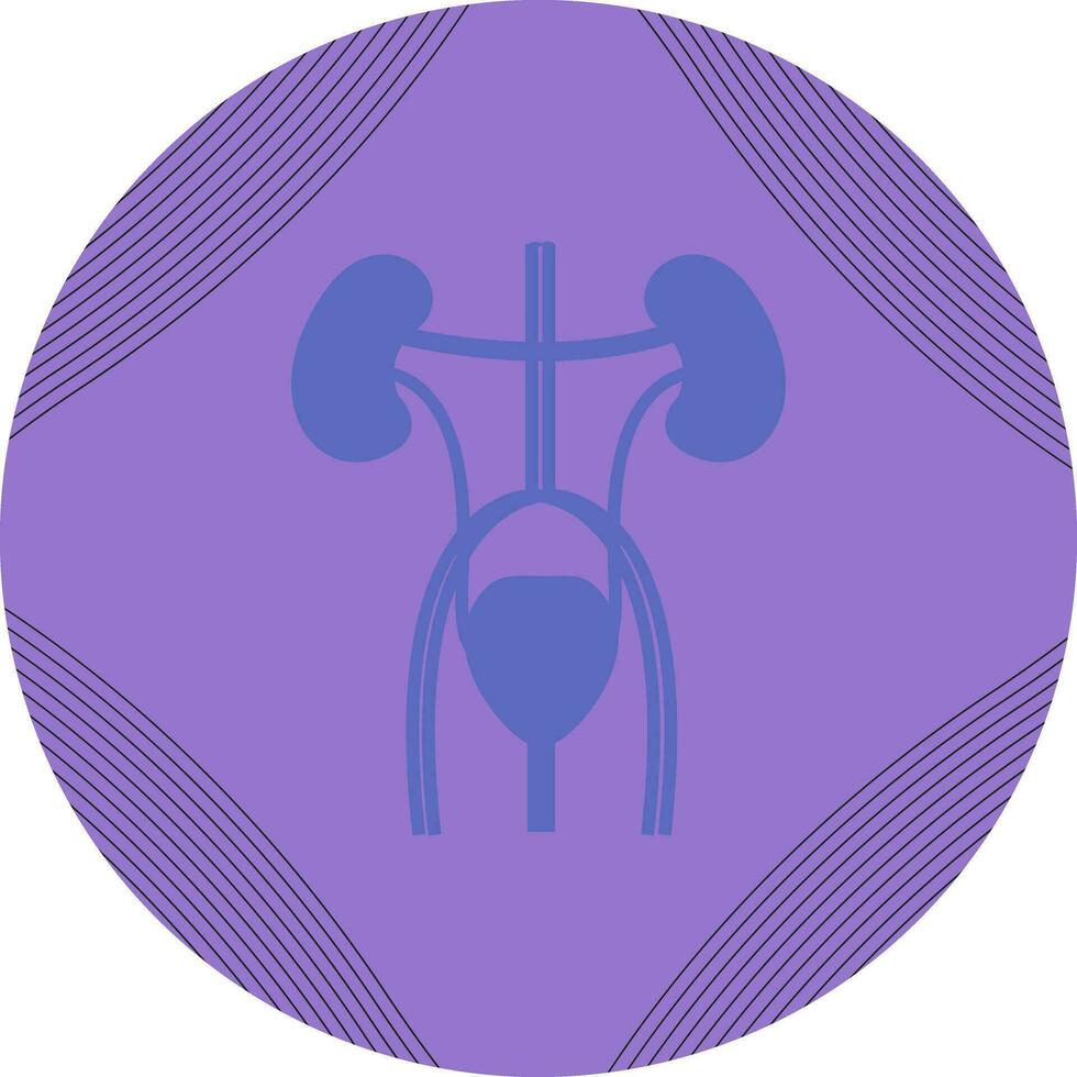 Excretory Vector Icon