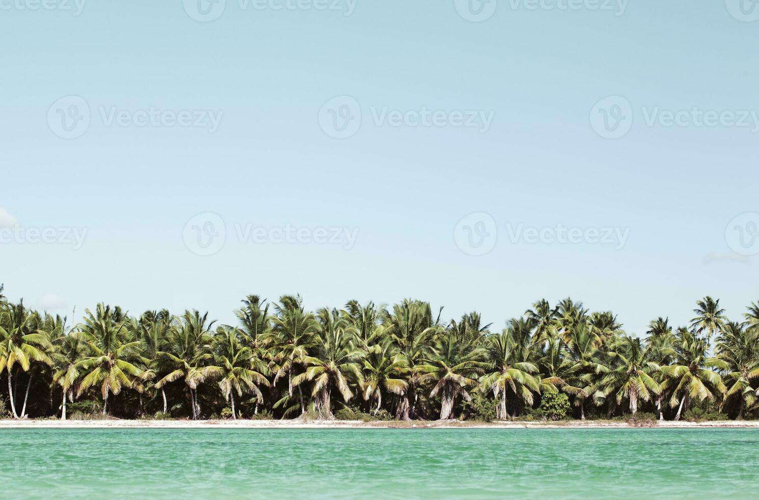 Summer scene with tropical beach and blue sea photo