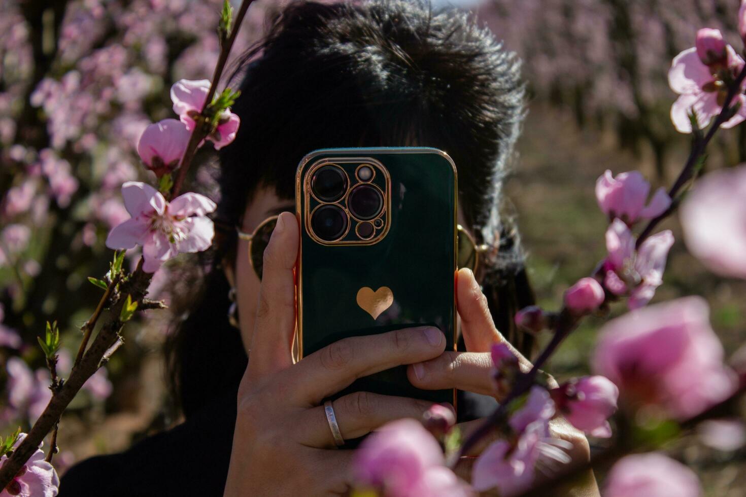 joven mujer en melocotón campo en primavera tomando fotos