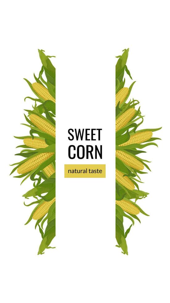 Banner with corn on the cob. Organic food, natural sweet corn vertical frame vector