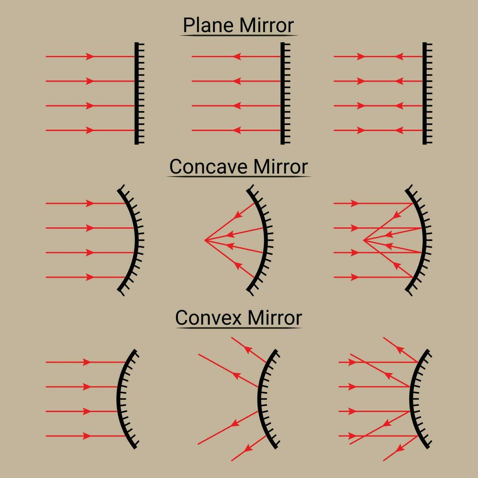 Plane Concave and Convex Mirrors. Ray Diagram vector