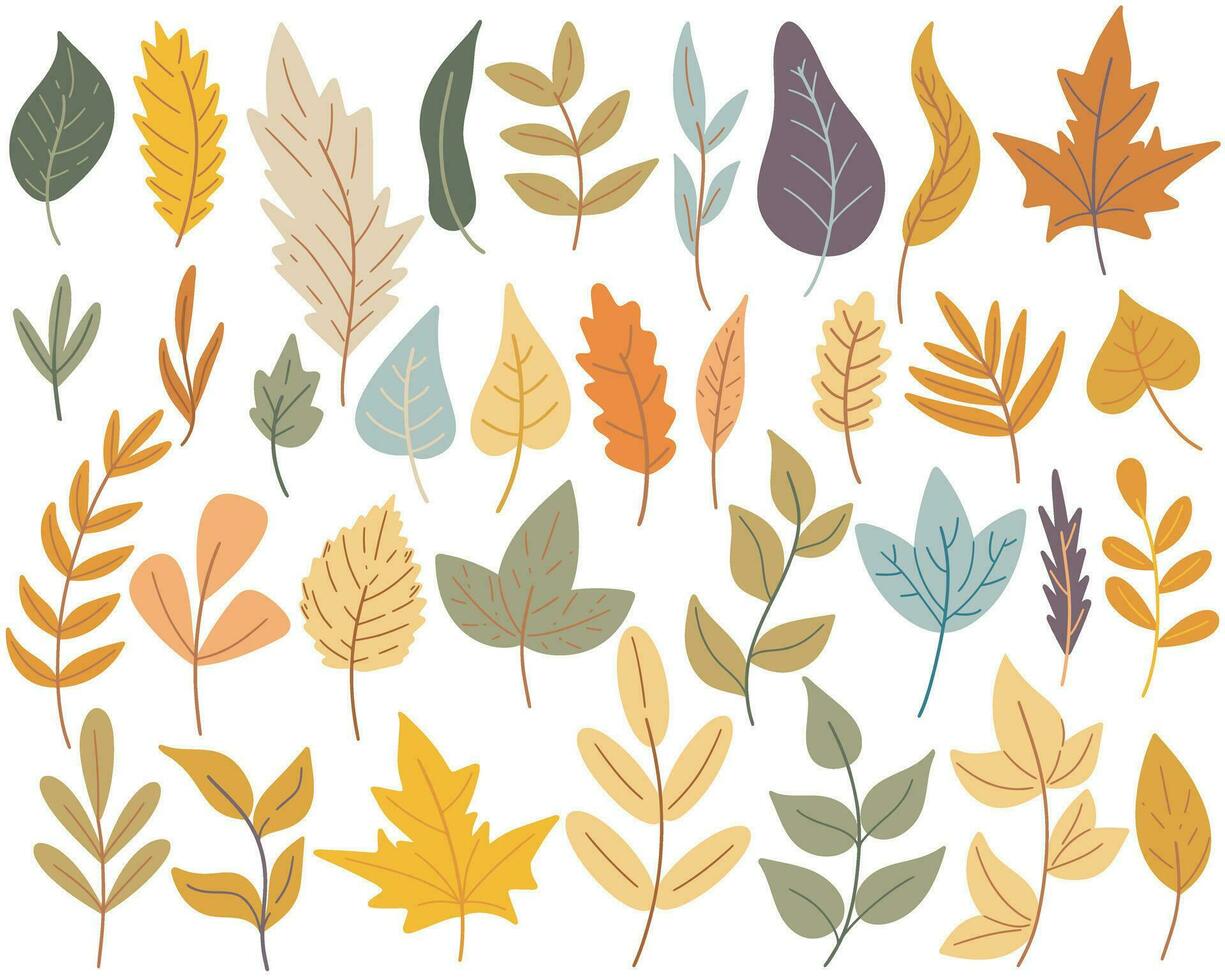 Hand drawn set of autumn leaves vector