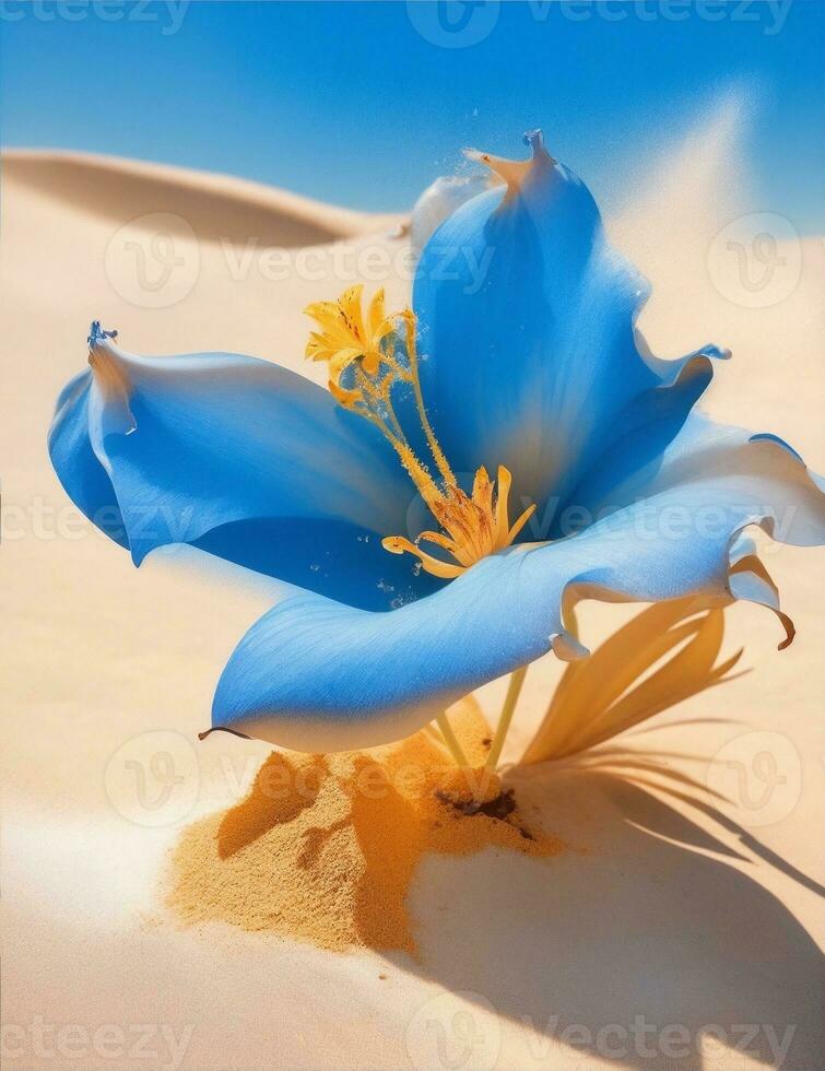 lily flower blue color, in the desert illustration photo