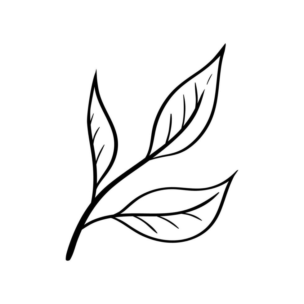 Tea leaves icon in simple sketch style. Isolated sign for tea business, cafe or packaging vector