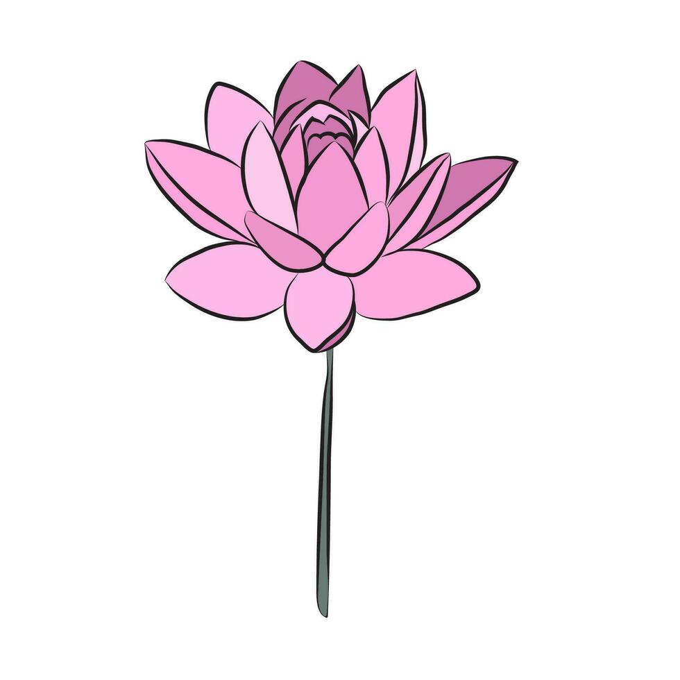 loto flor sencillo de colores icono. botánico brote para tarjetas vector