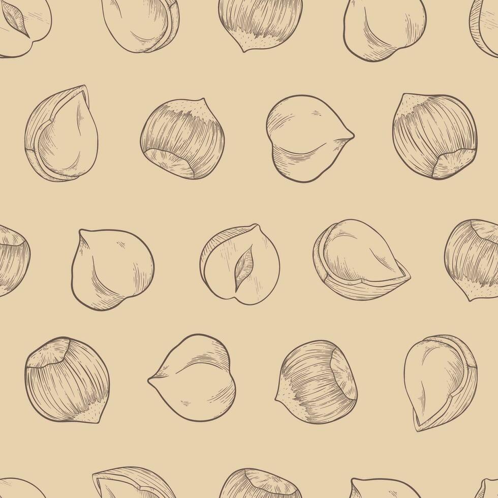 Seamless pattern Hazelnut many fruit nuts and kernels in sketch style. Beige background for packing hazelnut or chocolate, nut paste vector