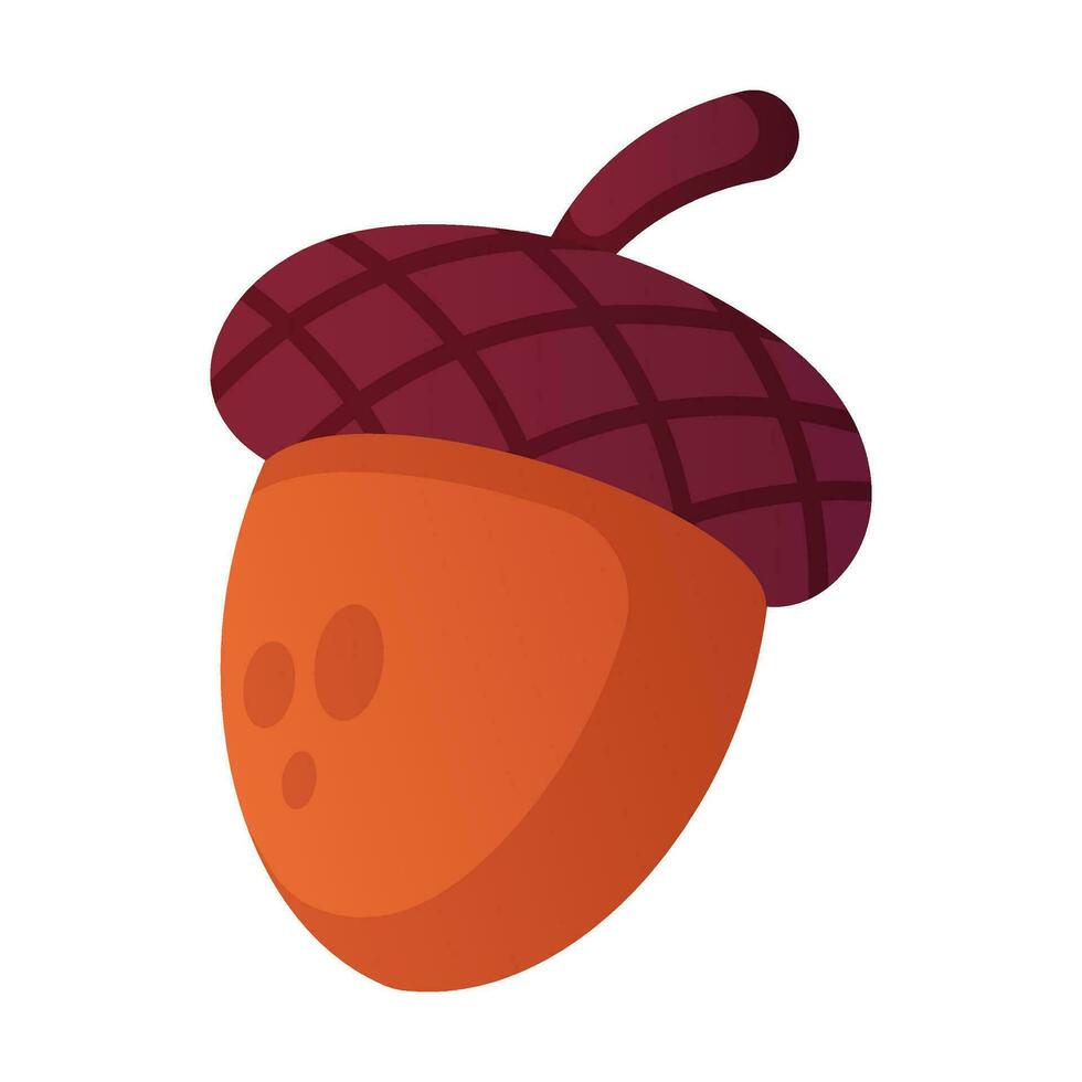 Acorn on a white background vector