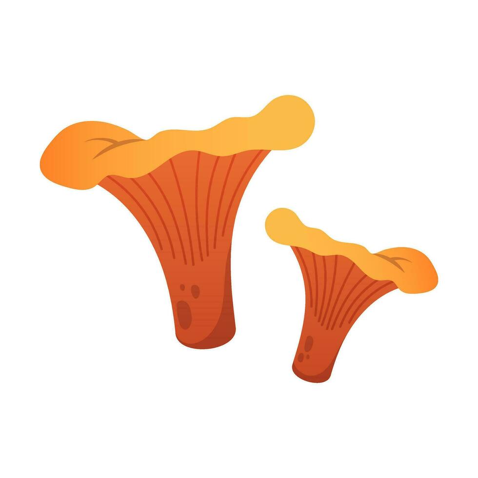 Mushroom illustration isolated on white vector