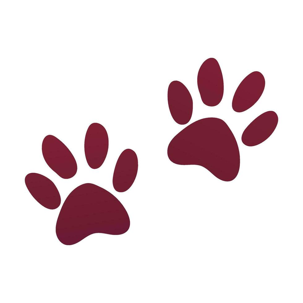 Animal paw prints on white background vector